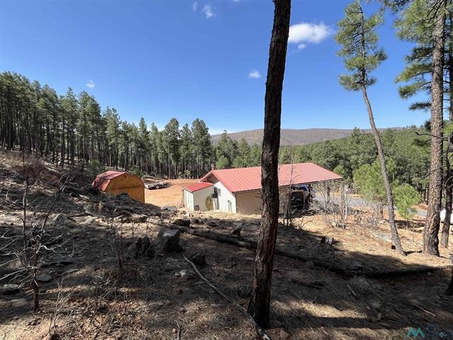 17 Pine Tree Rd